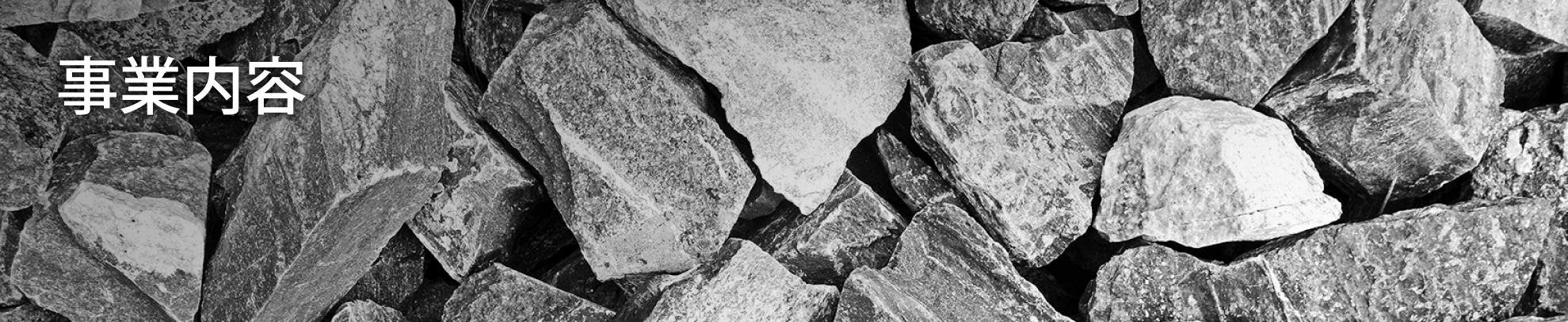 事業内容